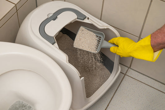 Paw & Tail Cat Litter